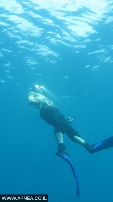 Free Diving in Utila-Honduras - 008