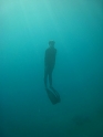    - APNEA -    