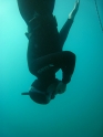 אימון צלילה חופשית - APNEA - עם שחר - 012
