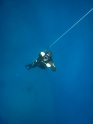 אימון צלילה חופשית - APNEA - עם אור ודוד
