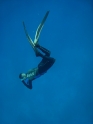 אימון צלילה חופשית - APNEA - עם אביב