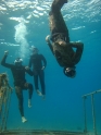 קורס צלילה חופשית - APNEA - עם אדוארד, מני ואור