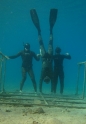 קורס צלילה חופשית - APNEA - עם אדוארד, מני ואור