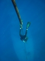    - APNEA -  ,  