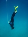  AIDA   -APNEA  ,   - 011
