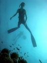 APNEA - ���� ����� ������ �� ���� ������