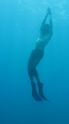 Free Diving in Utila-Honduras - 006