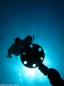             APNEA    