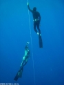 כחול עמוק הינו הפנינג צלילה חופשית שנתי המאורגן על ידי בית הספר APNEA לצלילה חופשית ומתקיים באילת