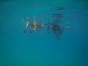 קורס צלילה חופשית - APNEA - עם נידאל וראשיד