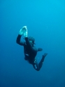 צלילה חופשית בראש של נלסון - עם עידן, דן ושחף - ניסוי כלים ל-C4