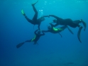    - APNEA -  , , ,  