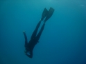    - APNEA -   