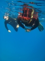 קורס צלילה חופשית - APNEA - עם איציק ופאני