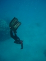    - APNEA -  , , , ,  