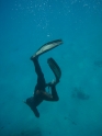    - APNEA -  , , , ,  