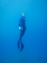    - APNEA -  , ,   - 010