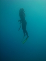    - APNEA -  ,   - 009